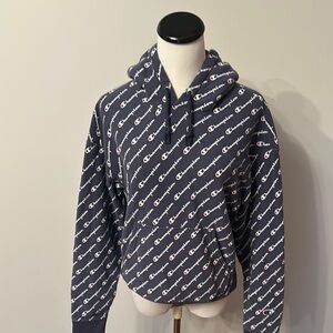Champion Reverse Weave Navy Logo Hoodie Size M
